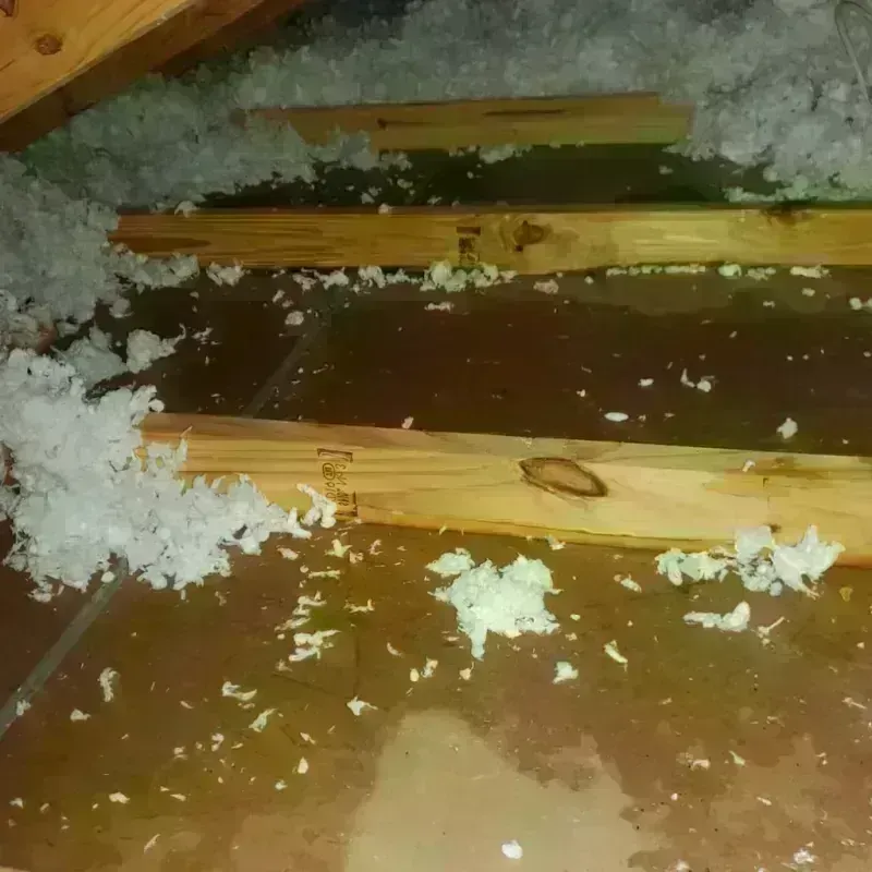 Attic Water Damage in Westchester, IL