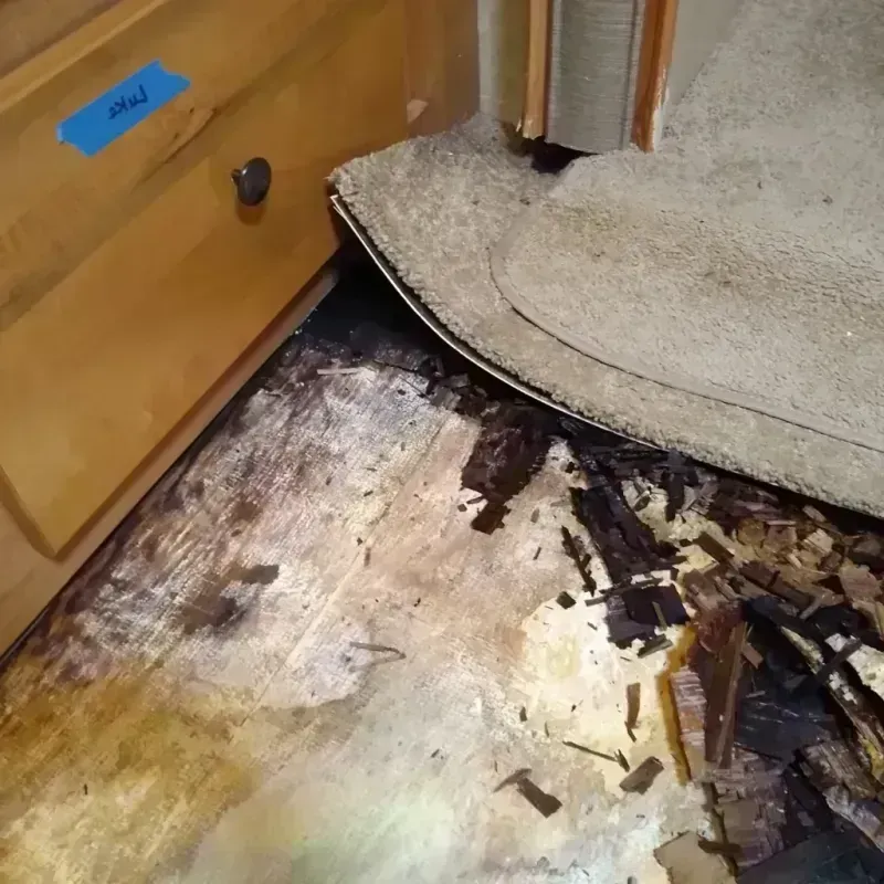 Wood Floor Water Damage in Westchester, IL